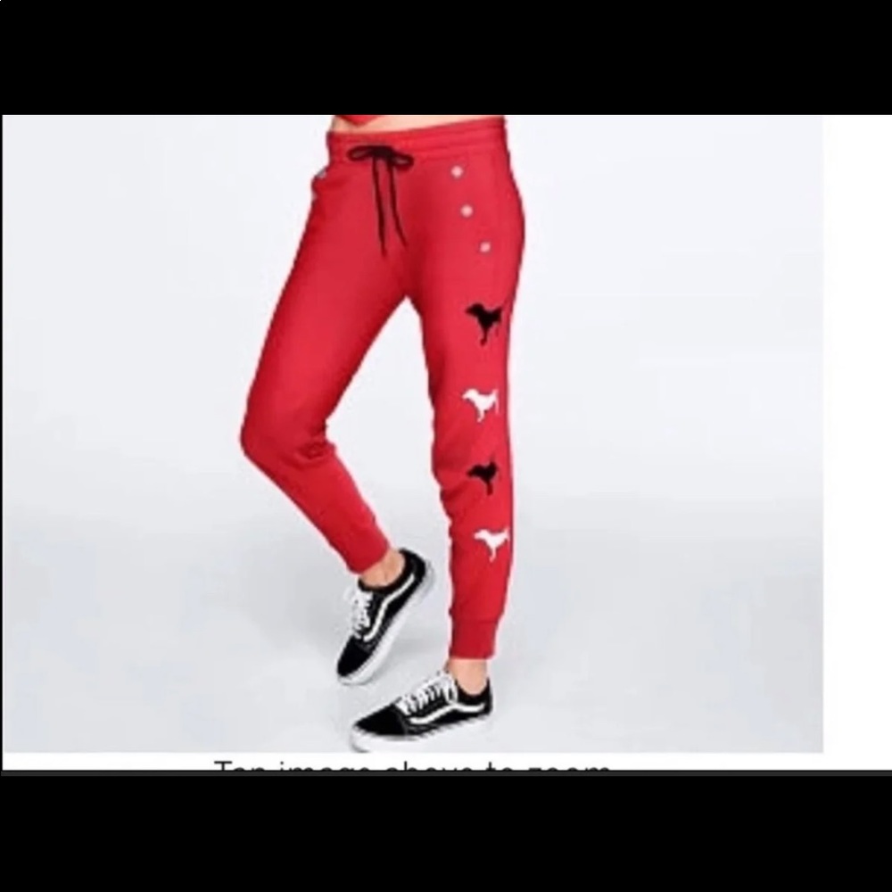 NWT VS PINK LARGE DOG LOGO SET - Picture 5 of 6